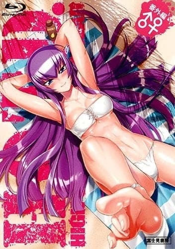 Highschool of the Dead: Drifters of the Dead cover